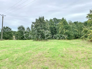 TRES BEAU TERRAIN DE 1 HECTARE DONT 4800 M² CONSTRUCTIBLE 