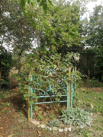 GAILLAC-Terrain d'agrément